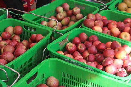 特色农产品展 乡村振兴的窗口与机遇