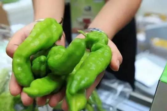 双十一狂欢下，有机农产品能否依然“好酒不怕巷子深”？