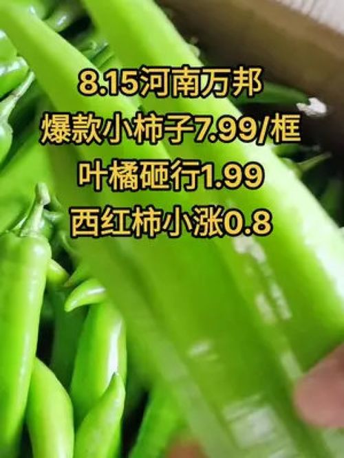 农产品市场行情持续低迷，水果蔬菜优质产品如何破局？