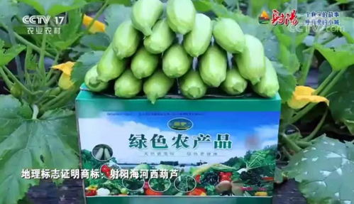 火遍全国！射阳绿色农产品宣传片刷屏央视、江苏卫视黄金时段