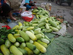 元阳县农产品信息网 连接优质农产品与市场的桥梁