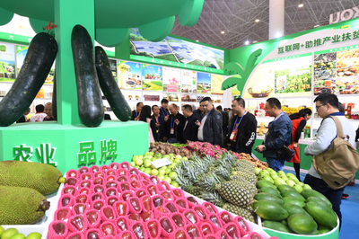 海口特色扶贫农产品闪耀冬交会，助力乡村振兴