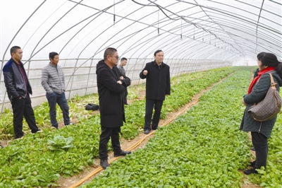 农产品质量安全科普进田间 守护舌尖上的安全